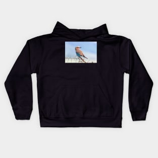 Lilac Breasted Roller, Ngorongoro Crater Kids Hoodie